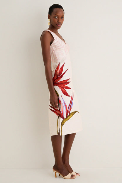 Strelitzia Sand Midi Dress