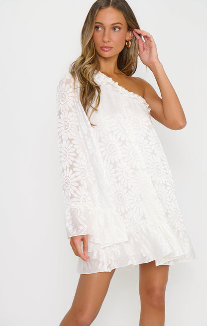 Wonder Mini Dress ~ White Daisy Burnout